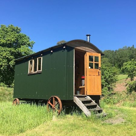 Cosy Woodland Off Grid Shepherds Hut - Rowan Villa Касъл Дъглас Екстериор снимка