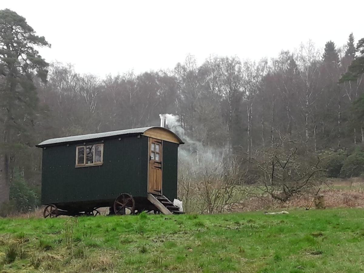 Cosy Woodland Off Grid Shepherds Hut - Rowan Villa Касъл Дъглас Екстериор снимка