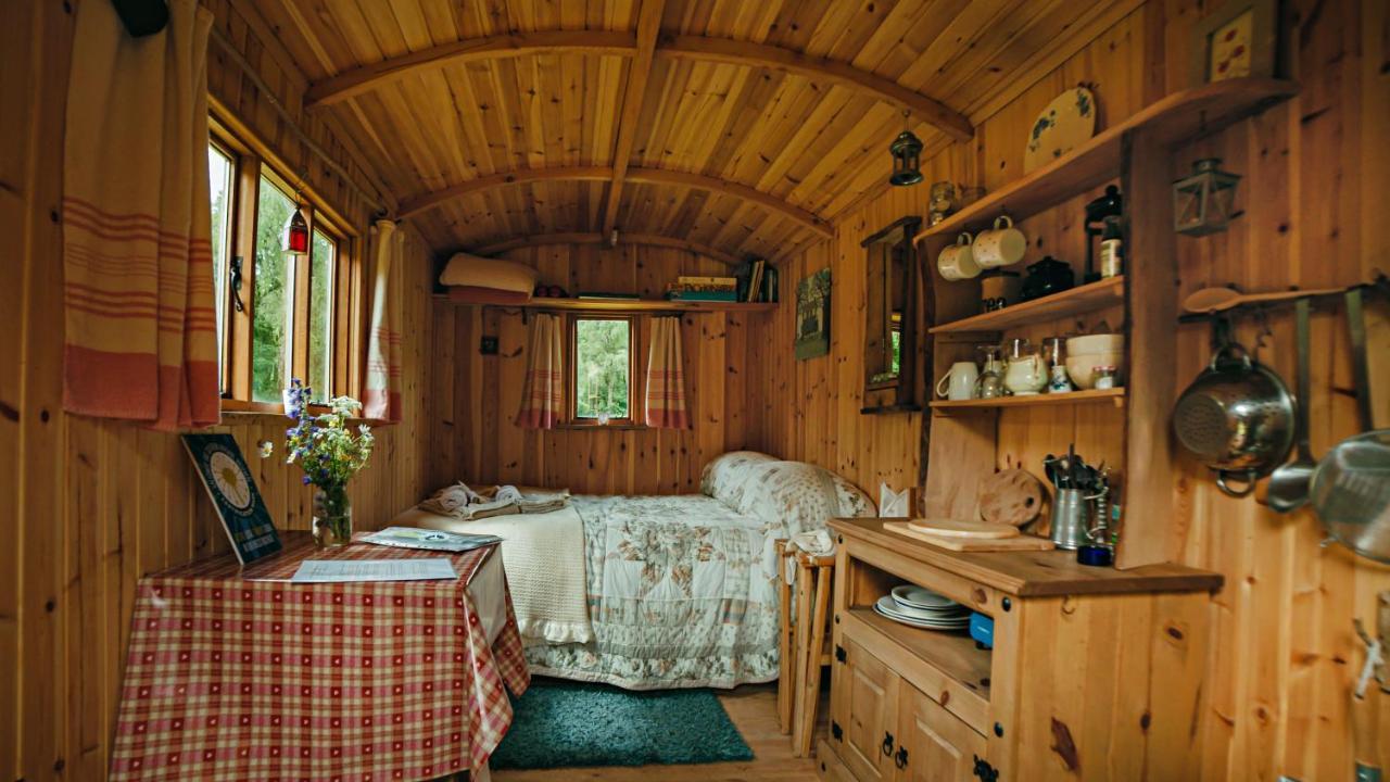 Cosy Woodland Off Grid Shepherds Hut - Rowan Villa Касъл Дъглас Екстериор снимка