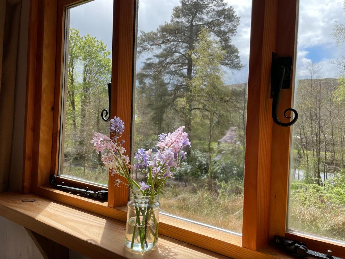 Cosy Woodland Off Grid Shepherds Hut - Rowan Villa Касъл Дъглас Екстериор снимка